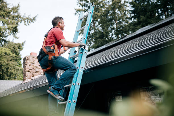Best Roof Coating and Sealing  in Leslie, MI
